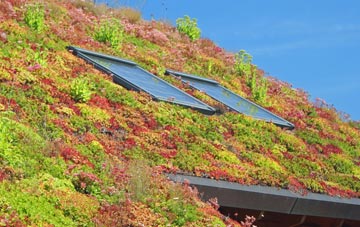 Bradnop living roof systems