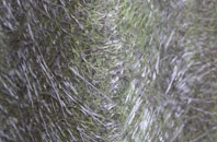 Bradnop fibreglass roof work